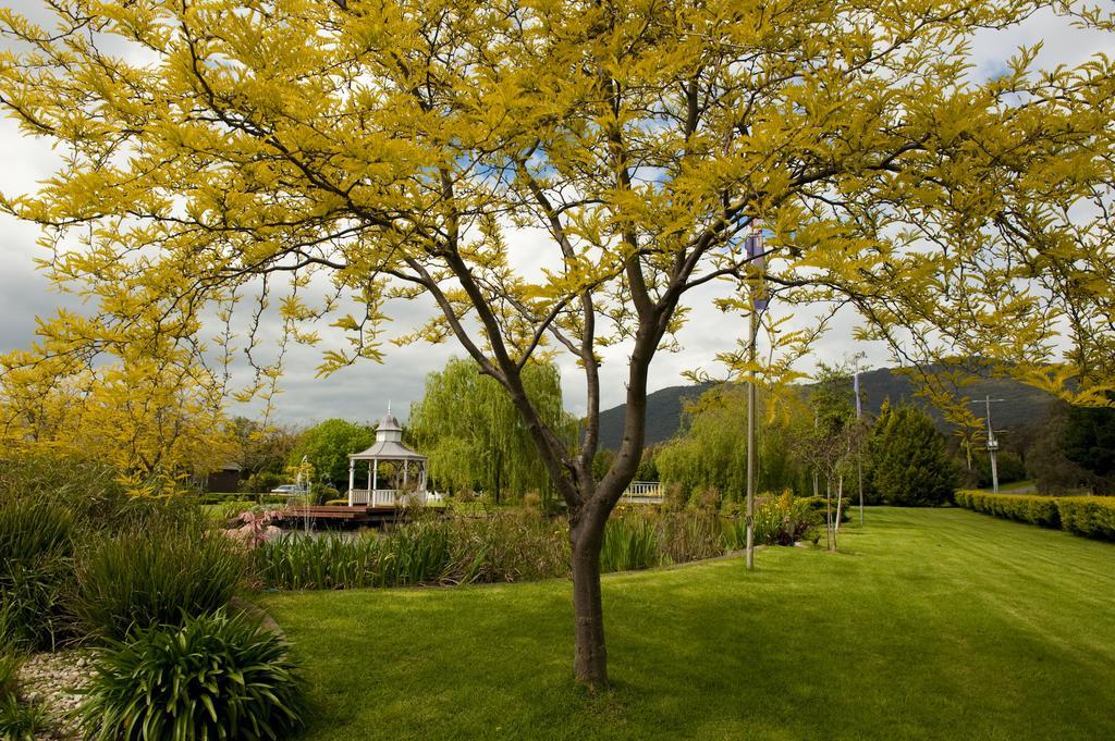 Lakeside Cottage Luxury B&B Маунт-Данденонг Экстерьер фото